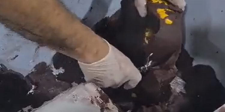 Vídeo: jovem é presa no aeroporto Eduardo Gomes com caixa de isopor cheia de maconha e açaí