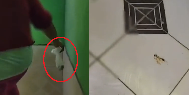 Fedeu: mulher joga saco de m3rda na casa da vizinha e confusão vira caso de polícia; vídeo