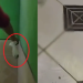 Fedeu: mulher joga saco de m3rda na casa da vizinha e confusão vira caso de polícia; vídeo