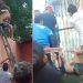 Vídeo: homem suspeito de assalto é amassado na porrada em Manaus