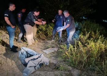 Fim de semana em Manaus termina com mais um esquartejado na rua