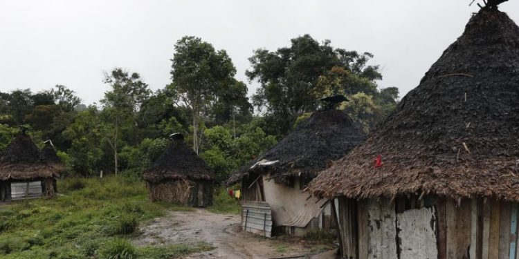 Uma criança morre e outras ficam ficam feridas durante ataque a aldeia do Yanomami