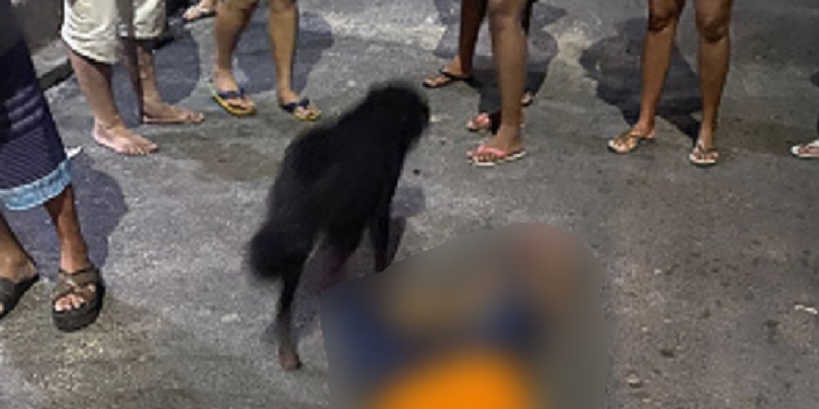 Cobrador de ‘Amarelinho’ tem a morte encomendada em Manaus e morre com vários tiros; veja