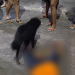 Cobrador de ‘Amarelinho’ tem a morte encomendada em Manaus e morre com vários tiros; veja