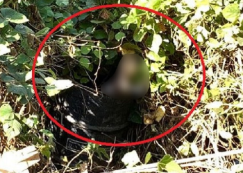 Homem é ‘desovado’ no camburão dentro de lixeira viciada em Manaus