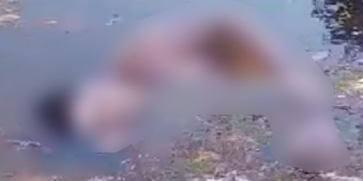 Surpresa desagradável: a caminho de sítio, populares encontram corpo perto da Ponte Rio Negro
