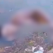 Surpresa desagradável: a caminho de sítio, populares encontram corpo perto da Ponte Rio Negro