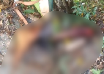 Vídeo: Partes de corpo de homem esquartejado são espalhadas e jogadas em calçada no bairro Flores