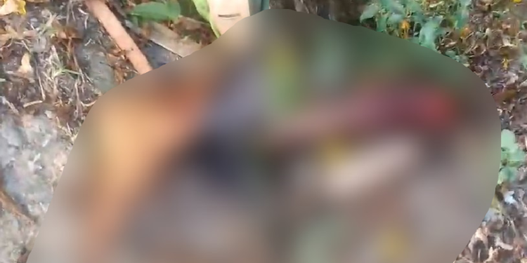 Vídeo: Partes de corpo de homem esquartejado são espalhadas e jogadas em calçada no bairro Flores