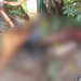 Vídeo: Partes de corpo de homem esquartejado são espalhadas e jogadas em calçada no bairro Flores