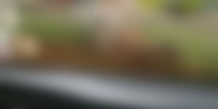 Vídeo: Motorista flagra casal no ponto de ônibus no ‘vuc*-vuc*’ do lado de cachorro caramelo