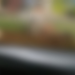 Vídeo: Motorista flagra casal no ponto de ônibus no ‘vuc*-vuc*’ do lado de cachorro caramelo