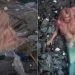 Shakira leva susto com rato em cenário de clipe e fãs brincam: ‘O Piqué invadindo os bastidores’