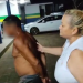 De resguardo, jovem de 19 anos é estuprada pelo próprio sogro em Manacapuru