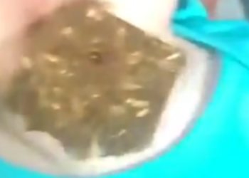 Vídeo forte: pai e mãe são presos após bater e colocar maconha na boca da filha de 4 meses