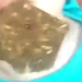 Vídeo forte: pai e mãe são presos após bater e colocar maconha na boca da filha de 4 meses