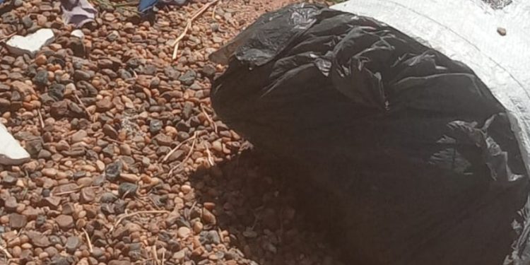 Mãe e filho a caminho da escola encontram esquartejado no saco em Manaus