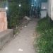 Tiroteio em beco do Santo Agostinho deixa um morto