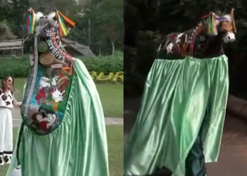 Xandão vota a favor da descriminalização do porte de maconha