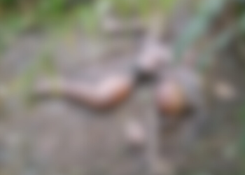 Em estado cadavérico corpo é encontrado no Amazonas