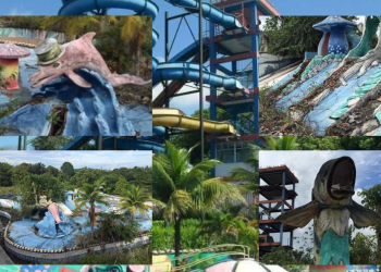 Falido e abandonado, Selva Park é colocado à venda e internautas reagem: “Saudades, era tão legal”