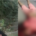 Di Menor é metralhado no Zumbi; imprensa é agredida pela família