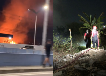 Novo incêndio de grandes proporções atinge vegetação em Manaus