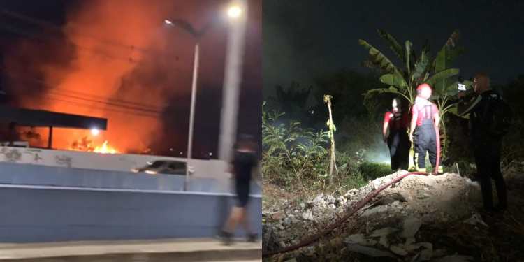 Novo incêndio de grandes proporções atinge vegetação em Manaus