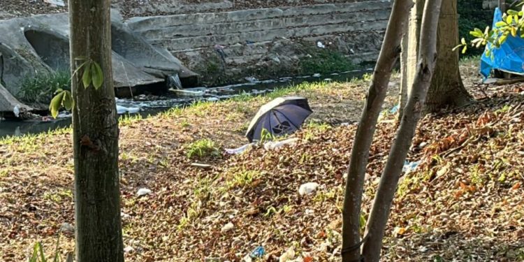Vídeo: Corpo de homem é encontrado às margens de igarapé na Zona Norte de Manaus