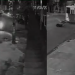 Vídeo: Jovem de 18 anos que acertou em cheio ônibus no bairro Japiim morre no hospital