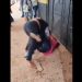 Vídeo: Mulheres descobrem que são cornas ao chegarem no presídio para visitar o mesmo detento
