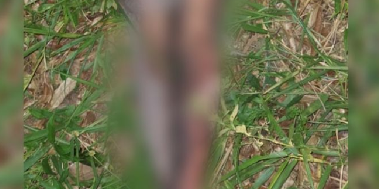 Homem é espancado, torturado e encontrado por moradores em rua no Tarumã