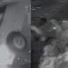 Na véspera do dia dos pais, motorista aparentemente embriagado atropela nove pessoas