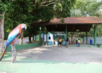 Cigs terá entrada gratuita no sábado, em Manaus