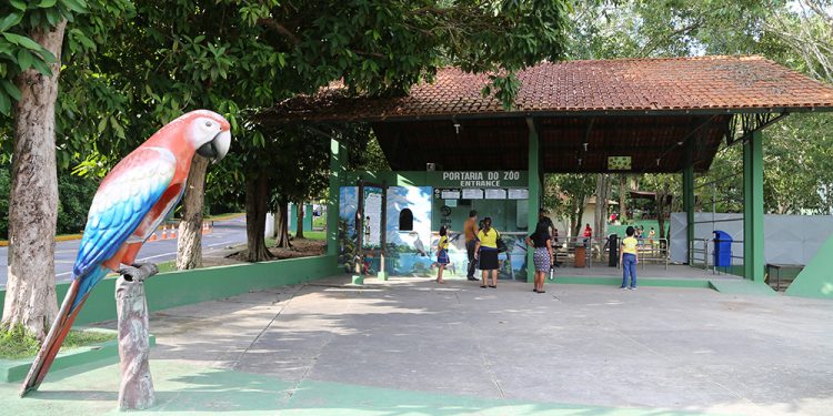 Cigs terá entrada gratuita no sábado, em Manaus