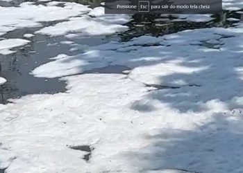 Família reconhece corpo parcialmente devorado por moscas e tapurus no igarapé do Tarumã