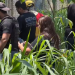 Mulher que estaria grávida é encontrada queimada, enforcada e sem os pés em camburão em Manaus