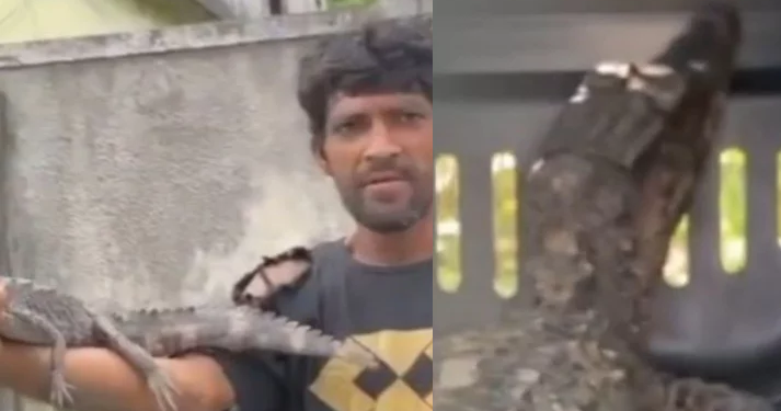 Vídeo: Alegando fome, homem aparece vendendo filhote de jacaré no bairro Alvorada
