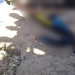 Vídeo: Carregador do Centro de Manaus é executado com vários tiros e suspeito do crime é preso