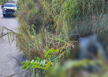 Cena forte: Homem é encontrado morto amarrado e já em decomposição no Distrito Industrial