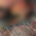 Vigilante ouve gritos e impede que homem seja morto na porrada no Centro de Manaus