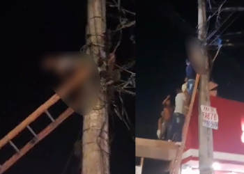 Vídeos: Mexendo em fios do poste de energia, homem fica ‘grudado’ no Viver Melhor