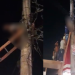 Vídeos: Mexendo em fios do poste de energia, homem fica ‘grudado’ no Viver Melhor
