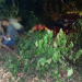 Carro com casal e os filhos menores despenca em ribanceira no bairro Dom Pedro
