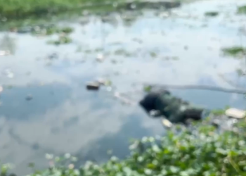 Corpo de homem é encontrado boiando em igarapé no bairro Santa Luzia