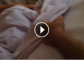 ‘Libera o topless’: Inês Brasil bota as peitcholas para fora no Programa do Silvio Santos