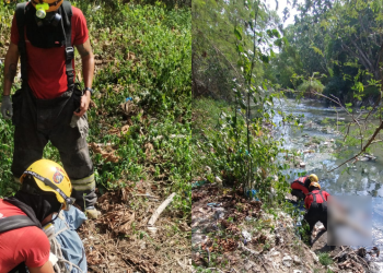 Em decomposição, corpo é encontrado sendo comido por urubus