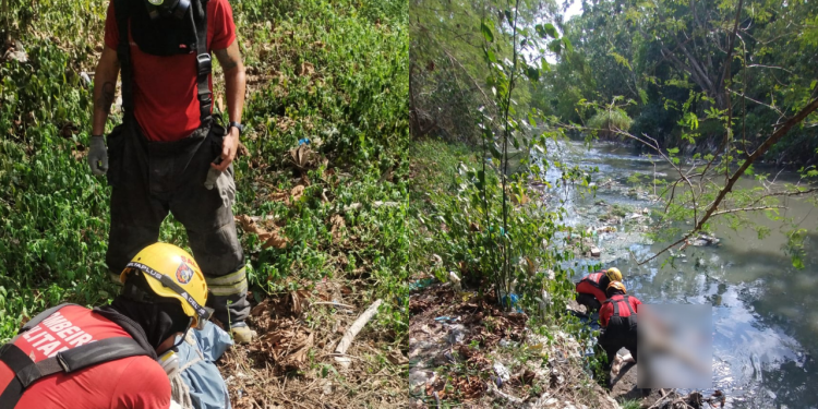 Em decomposição, corpo é encontrado sendo comido por urubus