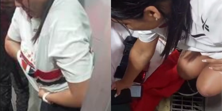 Enquanto torcedores comemoravam, são paulina fazia a limpa nos bolsos dos tricolores; veja vídeo