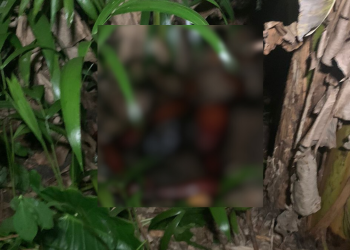 Jovens encontram cadáver em decomposição a caminho do futebol